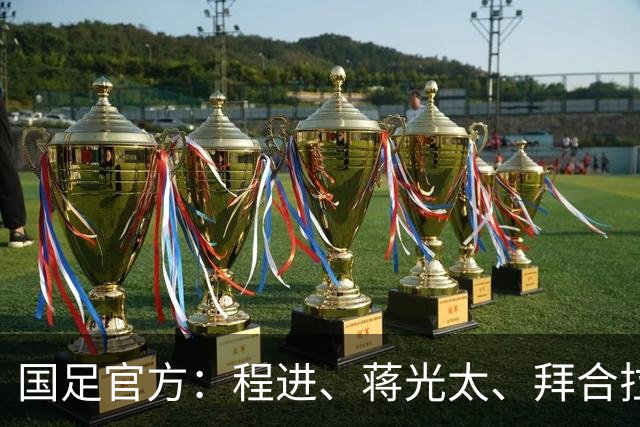 国足官方：程进、蒋光太、拜合拉木受伤 补招高天意